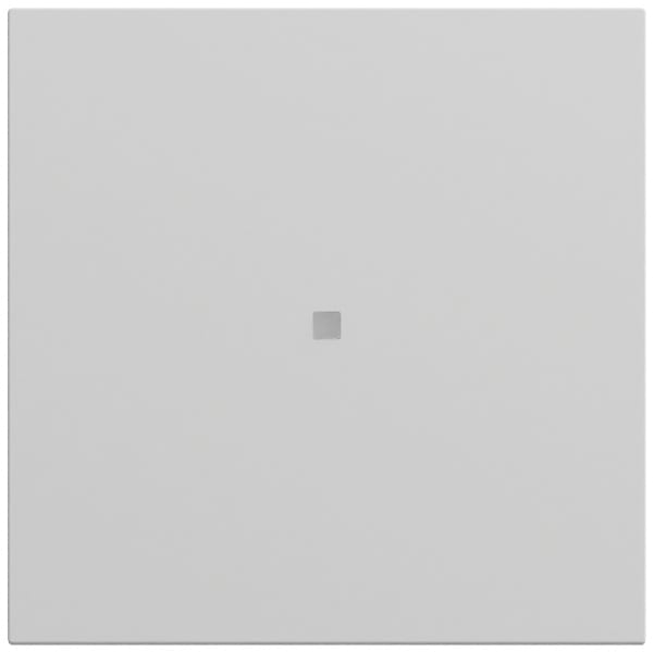 GIRA - Wippe gerade Kontrollf. System 70 Grau m(lack.)