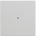 GIRA - Wippe gerade Kontrollf. System 70 Grau m(lack.)