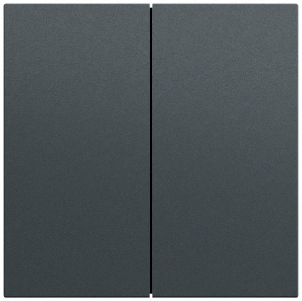 GIRA - Wippe 2f gerade System 70 Anthrazit(lack.)