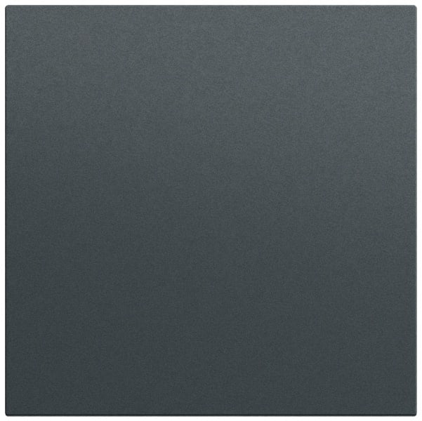 GIRA - Wippe gerade System 70 Anthrazit(lack.)