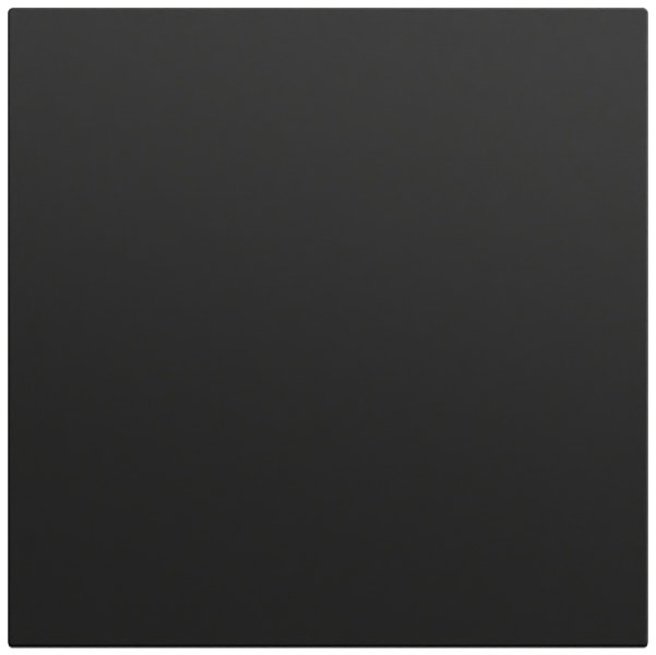 GIRA - Wippe gerade System 70 Schwarz m(lack.)