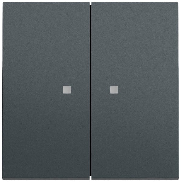 GIRA - Wippe 2f Kontrollf. System 70 Anthrazit(lack.)