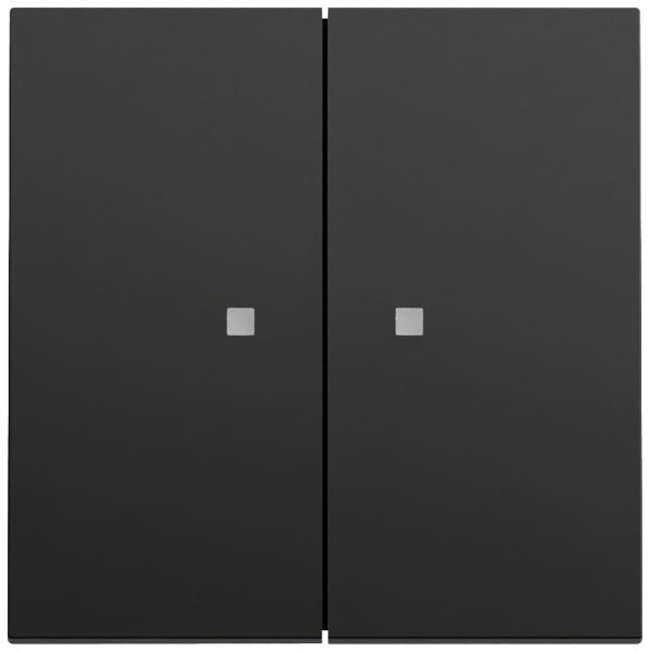 GIRA - Wippe 2f Kontrollf. System 70 Schwarz m(lack.)