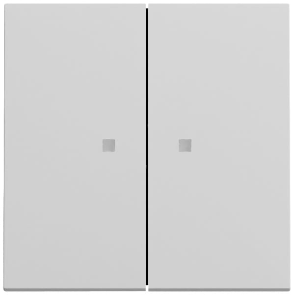 GIRA - Wippe 2f Kontrollf. System 70 Grau m(lack.)