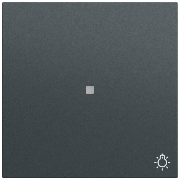 GIRA - Wippe Kontrollf. + Symb. Licht System 70 Anthrazit(lack.)