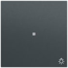 GIRA - Wippe Kontrollf. + Symb. Licht System 70 Anthrazit(lack.)