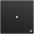 GIRA - Wippe Kontrollf. + Symb. Licht System 70 Schwarz m(lack.)