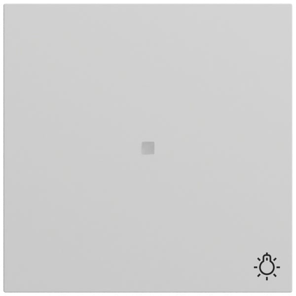 GIRA - Wippe Kontrollf. + Symb. Licht System 70 Grau m(lack.)