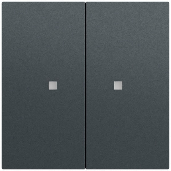 GIRA - Taster Wippe 2f OneKNX System 70 Anthrazit(lack.)