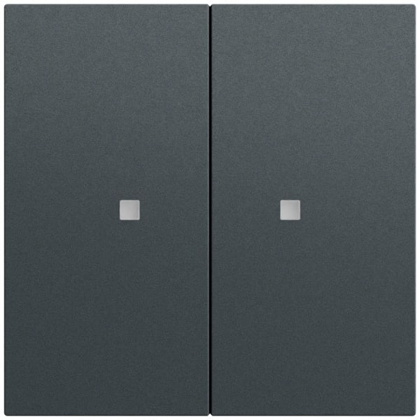 GIRA - Wippe 2f unbedruckt Kontrollf. System 70 Anthrazit(lack.)