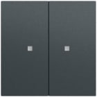 GIRA - Wippe 2f unbedruckt Kontrollf. System 70 Anthrazit(lack.)
