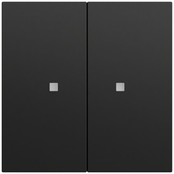GIRA - Wippe 2f unbedruckt Kontrollf. System 70 Schwarz m(lack.)
