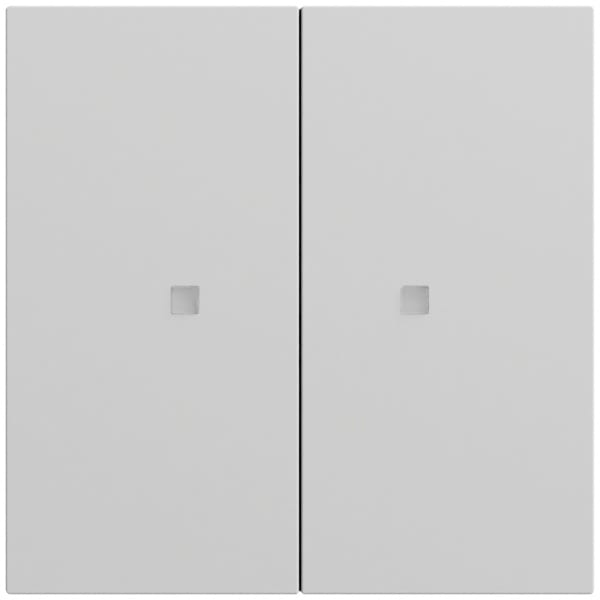 GIRA - Wippe 2f unbedruckt Kontrollf. System 70 Grau m(lack.)