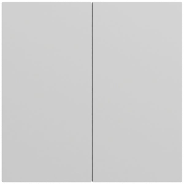 GIRA - Wippe 2f unbedruckt System 70 Grau m(lack.)
