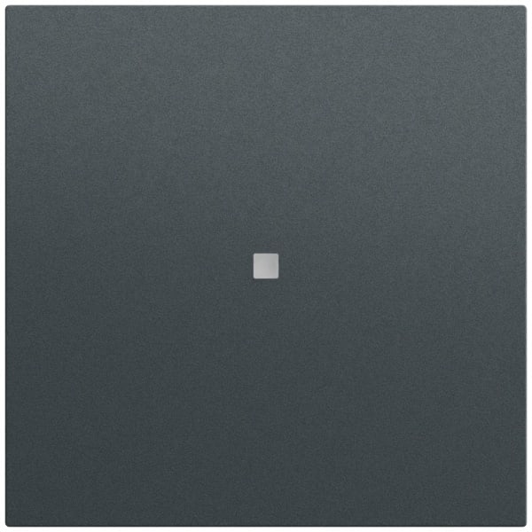 GIRA - Wippe 1f unbedruckt Kontrollf. System 70 Anthrazit(lack.)
