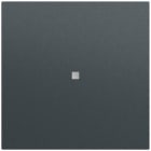 GIRA - Wippe 1f unbedruckt Kontrollf. System 70 Anthrazit(lack.)