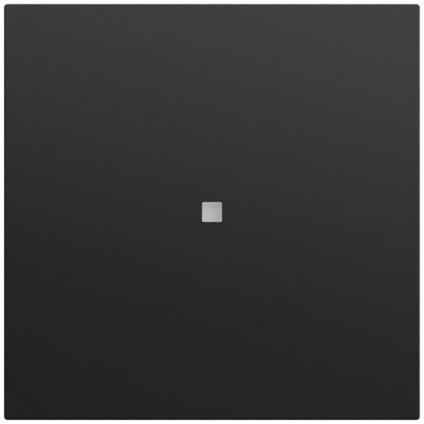 GIRA - Wippe 1f unbedruckt Kontrollf. System 70 Schwarz m(lack.)