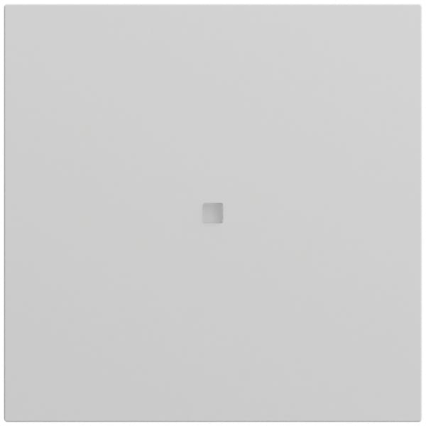 GIRA - Wippe 1f unbedruckt Kontrollf. System 70 Grau m(lack.)