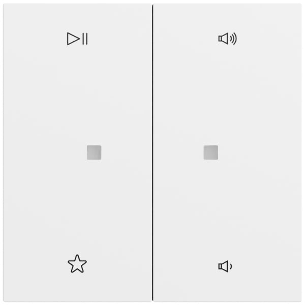 GIRA - Wippe 2f Audiostrg System 70 Reinweiß m(lack.)