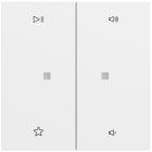 GIRA - Wippe 2f Audiostrg System 70 Reinweiß m(lack.)