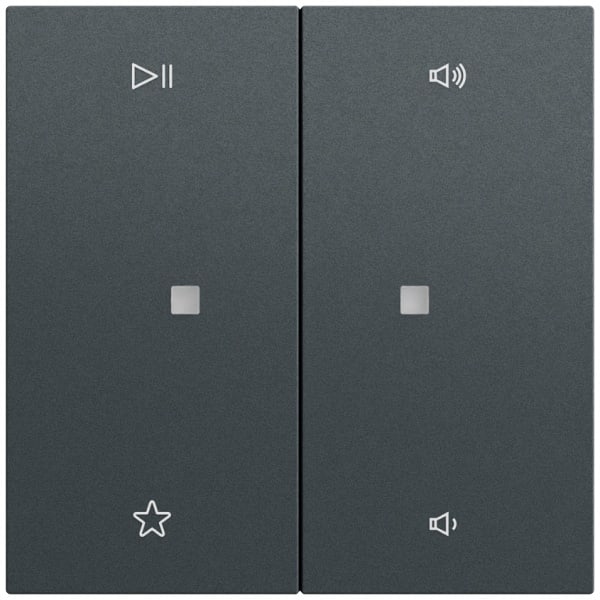 GIRA - Wippe 2f Audiostrg System 70 Anthrazit(lack.)