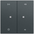 GIRA - Wippe 2f Audiostrg System 70 Anthrazit(lack.)