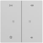GIRA - Wippe 2f Audiostrg System 70 Grau m(lack.)