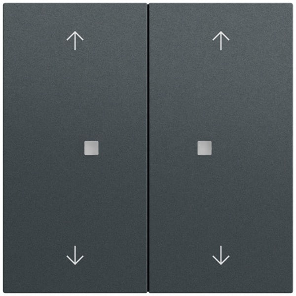 GIRA - Wippe 2f Pfeile Kontrollf. System 70 Anthrazit(lack.)
