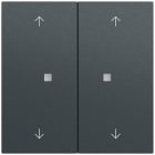 GIRA - Wippe 2f Pfeile Kontrollf. System 70 Anthrazit(lack.)
