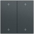 GIRA - Wippe 2f Pfeile System 70 Anthrazit(lack.)
