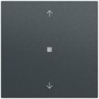 GIRA - Wippe 1f Pfeile Kontrollf. System 70 Anthrazit(lack.)