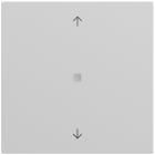 GIRA - Wippe 1f Pfeile Kontrollf. System 70 Grau m(lack.)
