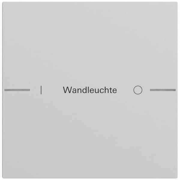 GIRA - Wippenset 1f indiv. Tastsens.4.70  Grau m(lack.)