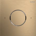 GIRA - Frontpl. Sprachmodul IP System 106 Bronze