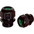 LAPP - SKINTOP ST-HF-M 20x1,5 RAL 7035 LGY