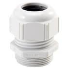 LAPP - SKINTOP STR PG 48 RAL 7035 LGY