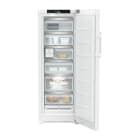 LIEBHERR - VG! FH+ Gefrierschrank 60cm 6Fächer IceM NoFr. 238L D weiß