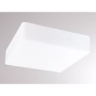 MOLTO LUCE - LINA 6 W/DL WEIß 2X AGL A60 75W E27