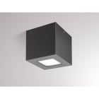 MOLTO LUCE - QUASAR 10 DL ANTHRAZIT LED SYS 5W 3000K