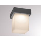 MOLTO LUCE - FYNN O ANTHRAZIT MATT AC LED 10W 3000K
