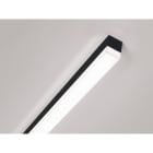 MOLTO LUCE - VOLTO COPERTO AB-L SYS11W 3000K FLACH schwarz