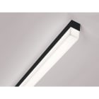 MOLTO LUCE - VOLTO COPERTO AB-L SYS21W 3000K KUBISCH schwarz