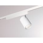 MOLTO LUCE - DASH DC SCHIENENSTRAHLER MIT 2-PH weiß matt