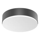 STEINEL - Innenleuchte RS PRO A20 SC WW ANT