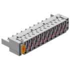 OBO BETTERMANN - Basisschutzmagazin 10 Doppeladern für LSA Plus 180V