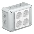 OBO BETTERMANN - Kabelabzweigkasten 4 Schuko Steckdosen 33° ws 2+2 150x116x67 Polypropylen lichtgrau RAL 7035