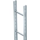 OBO BETTERMANN - Steigeleiter Industrie mit C 40 Sprosse 800x6000 Stahl tauchfeuerverzinkt