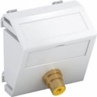 OBO BETTERMANN - Multimediaträger Video-Cinch 1x Kupplung, Buchse-Buchse 45x45mm Polycarbonat reinweiß RAL 9010