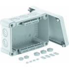 OBO BETTERMANN - Kabelabzweigkasten mit Klemmleiste 286x202x125 Polycarbonat lichtgrau RAL 7035