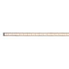 PAULMANN - MaxLED 1000 Stripe 1m Warmweiss IP20 2700K 12W 24V Silber